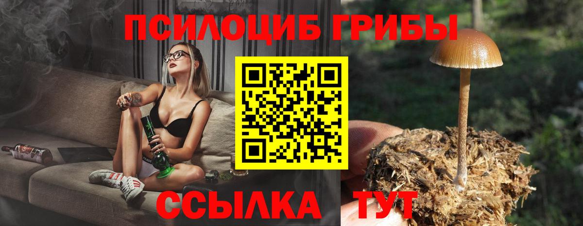 Сызрань  продажа наркотиков  Вход с VPN  Галлюциногенные грибы MAGIC MUSHROOMS  Галлюциногенные грибы Psilocybine cubensis 
