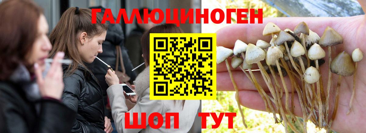 Галлюциногенные грибы мухоморы Сызрань